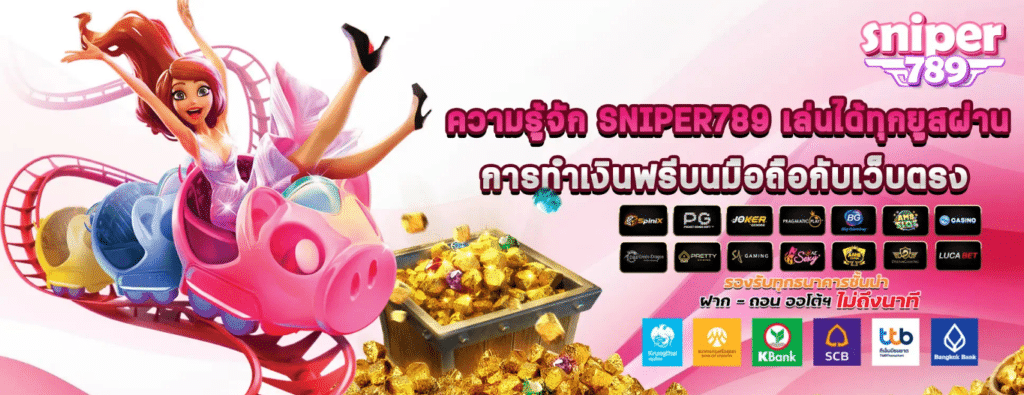 sniper789 ทำความรู้จัก